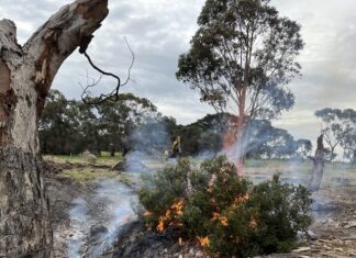 Big fines for illegal dump and burn
