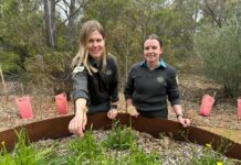 A special sensory journey