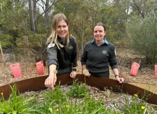 A special sensory journey