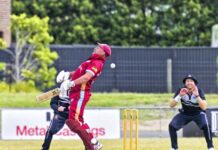 Dinos beat Sharks by five wickets