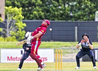 Dinos beat Sharks by five wickets