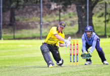 Tigers, Devils get the points