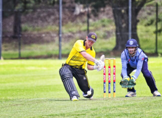 Tigers, Devils get the points