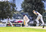 gcacricket_512909_03-1