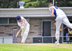 gcacricket_512909_05-1