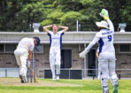 gcacricket_512909_10-1