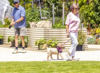 Open day at Barwarre Gardens