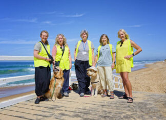 Dog’s Breakfast for ‘hoodies’