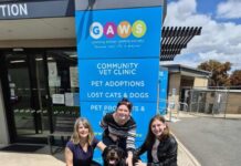 Bring Geelong’s animals a little Christmas cheer