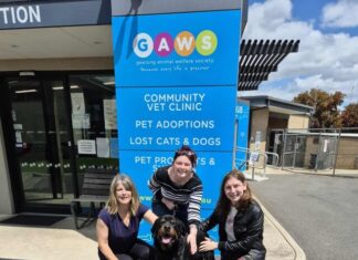 Bring Geelong’s animals a little Christmas cheer