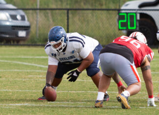 Crusaders too good for Buccaneers