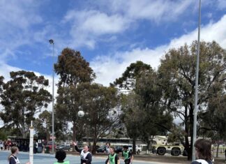 Promoting respect through stories and play