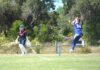 Geelong women’s cricket results