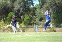Geelong women’s cricket results