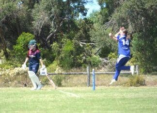 Geelong women’s cricket results