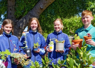 A fair of fresh food