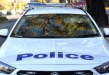 Corio crash proves fatal, teen charged