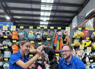 Christmas is a busy time for vets