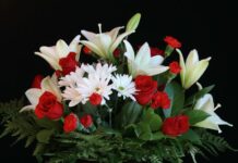 Have a bloomin’ beautiful Christmas