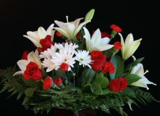 Have a bloomin’ beautiful Christmas