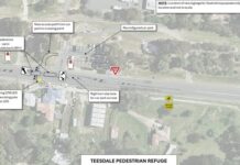 Pedestrian safety project up for public appraisal