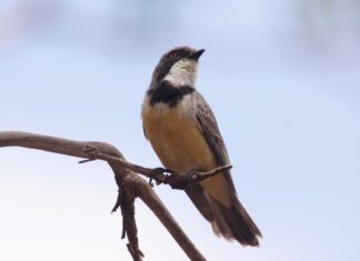 Fingers crossed for hoodies