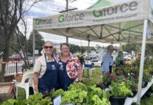 Cottage fair yields record amount