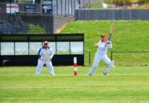 Runs, wickets, averages and best performances so far