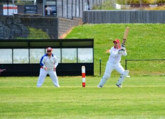 Runs, wickets, averages and best performances so far