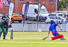 Dragons can get better: skipper