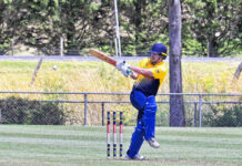 Eagles cause catastrophic collapse