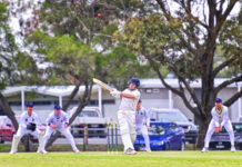 Giant killers Leopold into T20 decider