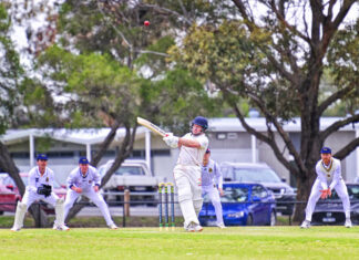 Giant killers Leopold into T20 decider