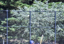 Magpies swoop on 3rd straight title