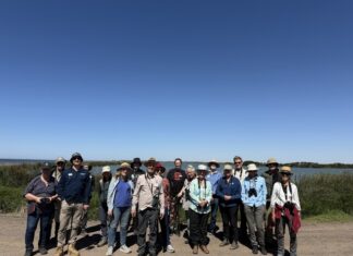 Understanding the wetlands