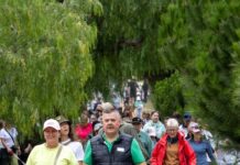 Calling all dog walkers