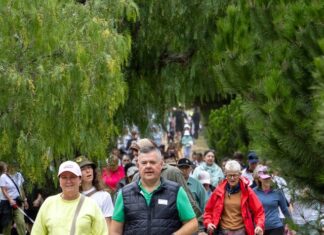 Calling all dog walkers