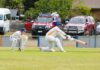 Graham grabs eight as Dobbin rescues Hawks