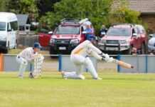 Graham grabs eight as Dobbin rescues Hawks