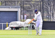 Rosellas in top form