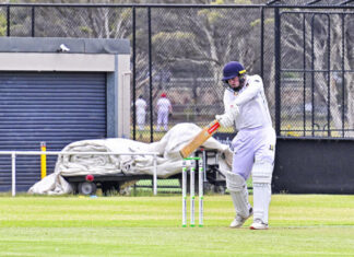 Rosellas in top form