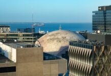 Investing in Local Talent: Top Skill Sets to Grow Geelong’s Economy