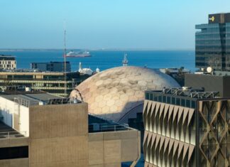 Investing in Local Talent: Top Skill Sets to Grow Geelong’s Economy