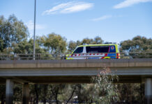 Snake bite warning for Barwon