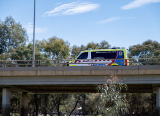 Snake bite warning for Barwon