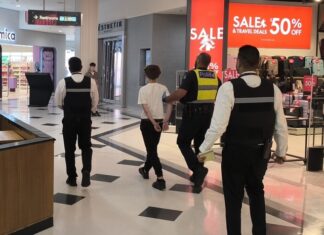 Seven arrested following separate theft incidents