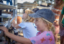 Show brings community together