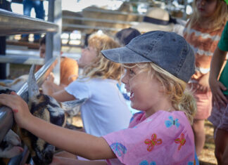 Show brings community together