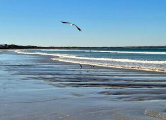 Supporting beach health