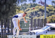 Cats’ skipper shines with timely ton